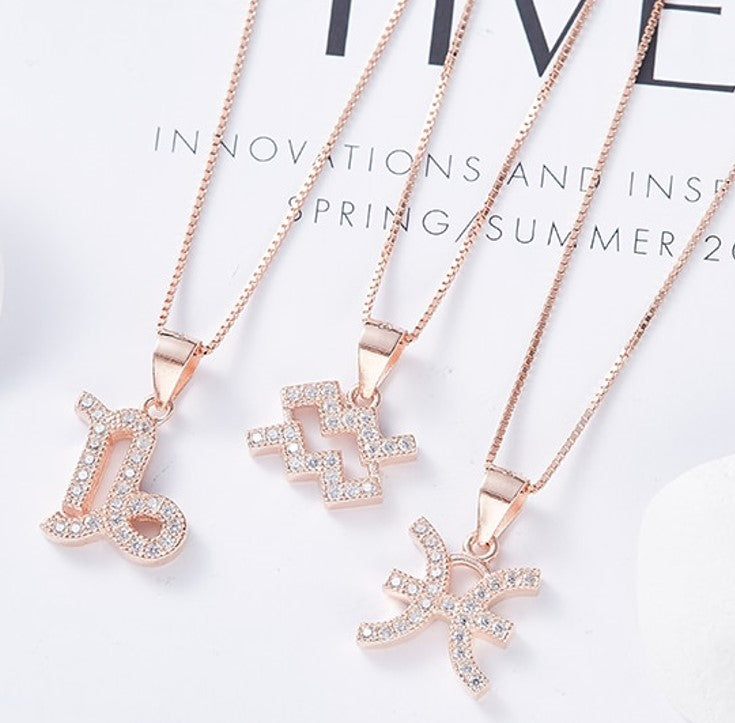 Zodiac Jewelry: Silver Sun Sign Necklace with Pendant. Birth Sign Pendant. WickedYo